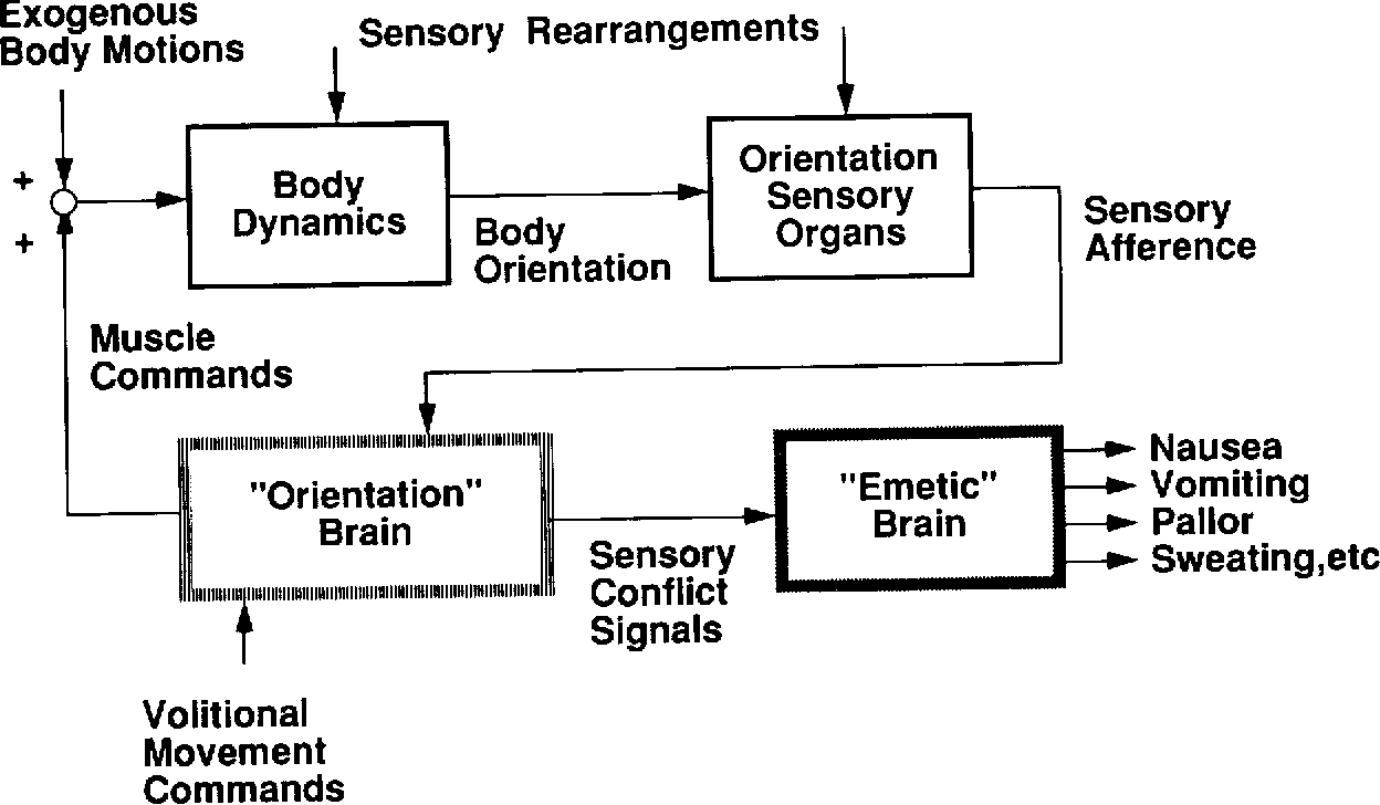 Sensory Conflict Theory flowchart